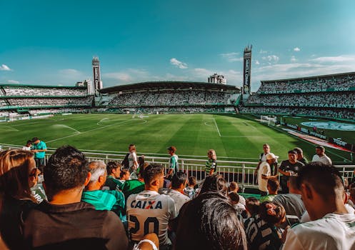 cheering fans at a game